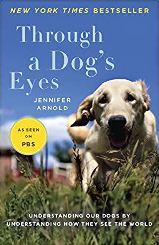 Understanding Our Dogs by Understanding How They See the World