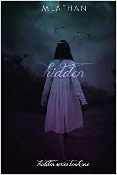 Hidden: Hidden Series Book One (Volume 1)