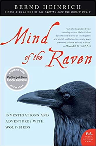 Investigations and Adventures with Wolf-Birds - Mind of the Raven