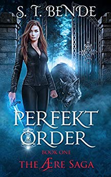 Perfekt Order (The Ære Saga Book 1)