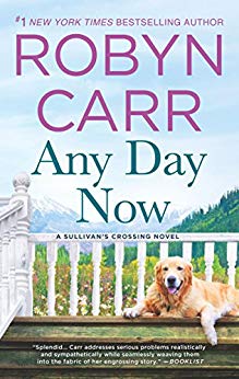 Any Day Now: A Novel (Sullivan's Crossing)