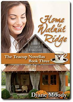 Home to Walnut Ridge (The Teacup Novellas Book 3)