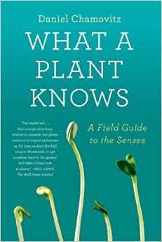 What a Plant Knows: A Field Guide to the Senses