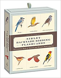 100 Common Birds of Eastern and Western North America (Sibley Birds)