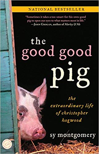 The Extraordinary Life of Christopher Hogwood - The Good Good Pig