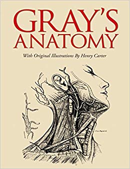 Gray's Anatomy: Slip-case Edition