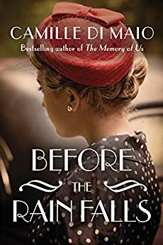 Before the Rain Falls: A Novel