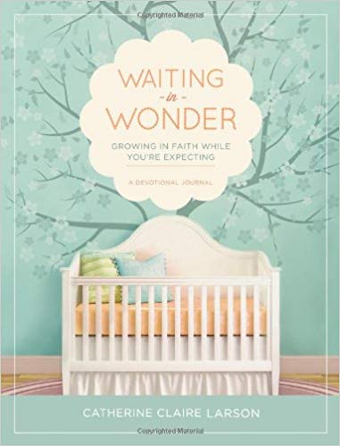 Growing in Faith While You're Expecting - Waiting in Wonder
