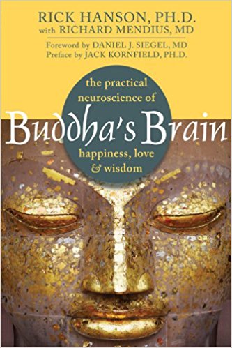 The Practical Neuroscience of Happiness - and Wisdom