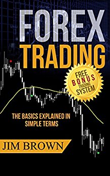 The Basics Explained in Simple Terms (Bonus System incl. videos) (Forex