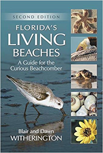 A Guide for the Curious Beachcomber - Florida's Living Beaches