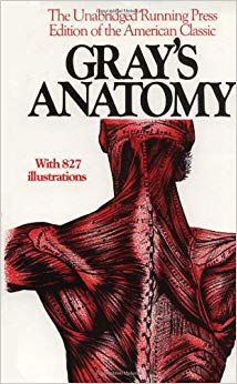 Anatomy, Descriptive and Surgical, 1901 Edition