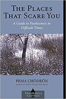 A Guide to Fearlessness in Difficult Times (Shambhala Classics)