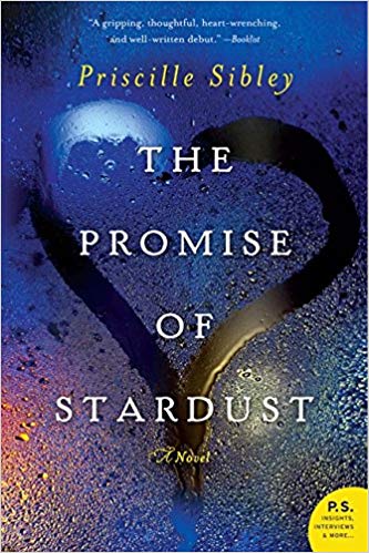 The Promise of Stardust: A Novel