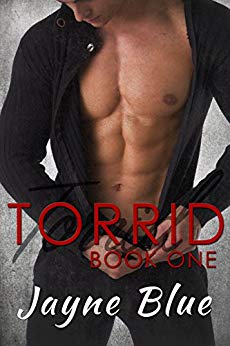 A Romantic Suspense Novel (Torrid Trilogy Book 1)