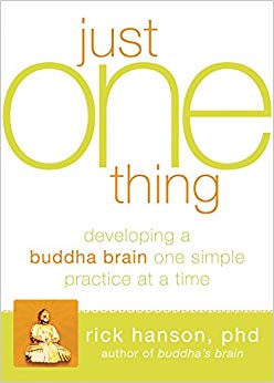 Developing a Buddha Brain One Simple Practice at a Time