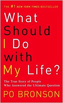 What Should I Do with My Life the true story of people who answered the ultimate question 2003 hardback