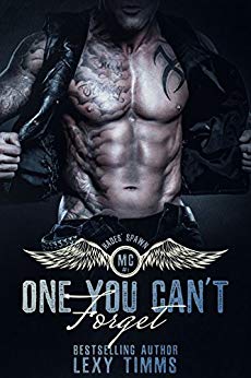 Motorcycle Club MC Romance (Hades' Spawn Motorcycle Club Series Book 1)