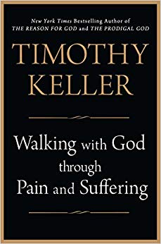 Walking with God through Pain and Suffering