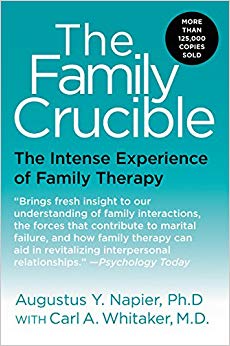 The Intense Experience of Family Therapy (Perennial Library)