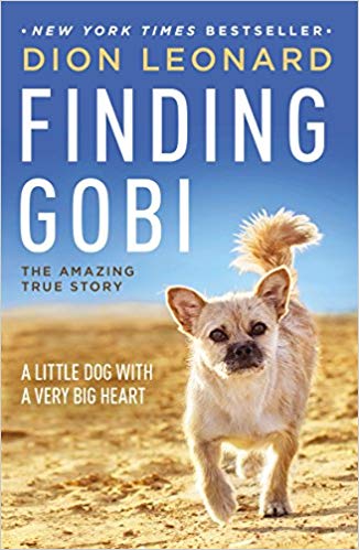 Finding Gobi: A Little Dog with a Very Big Heart