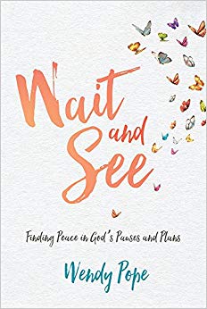 Finding Peace in God's Pauses and Plans - Wait and See