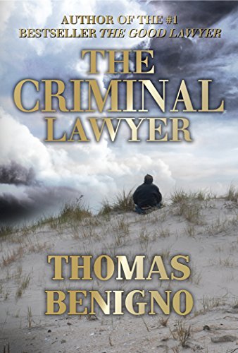A Crime Thriller Inspired By a True Story (The Good Lawyer Series Book 2)