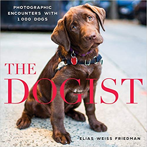 Photographic Encounters with 1 - 000 Dogs - The Dogist