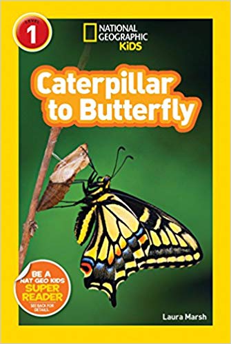 National Geographic Readers - Caterpillar to Butterfly