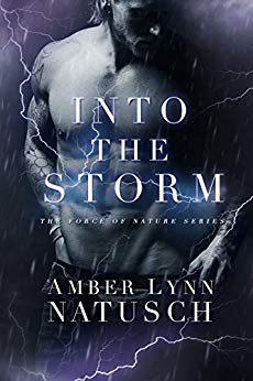 Into the Storm (Force of Nature Book 2)