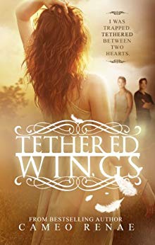 Tethered Wings (Hidden Wings Series Book Three)