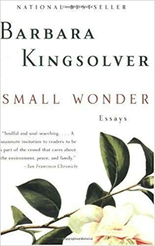 Small Wonder - Essays