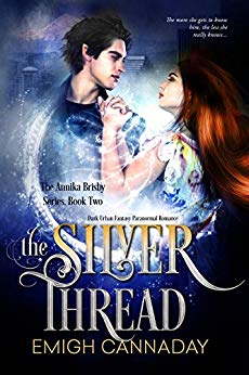 Fantasy Paranormal Romance (The Annika Brisby Series Book 2)