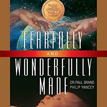 Fearfully and Wonderfully Made