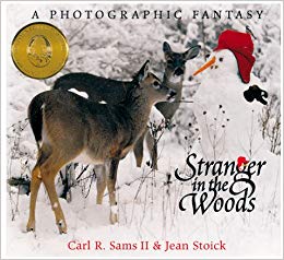 A Photographic Fantasy (Nature) - Stranger in the Woods