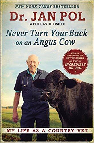 Never Turn Your Back on an Angus Cow - My Life as a Country Vet