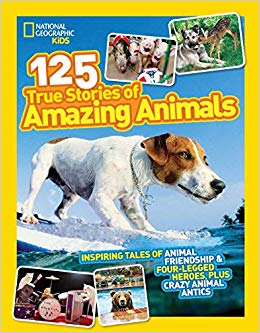 Inspiring Tales of Animal Friendship & Four-Legged Heroes