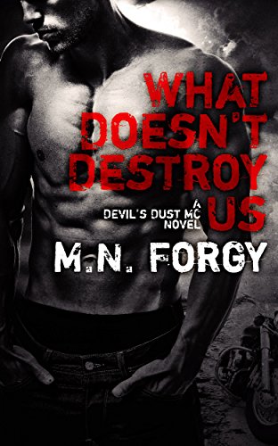 What Doesn't Destroy Us (The Devil's Dust Book 1)