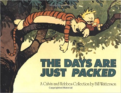 A Calvin and Hobbes Collection - The Days are Just Packed