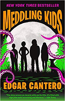 A Novel (Blyton Summer Detective Club Adventure) - Meddling Kids