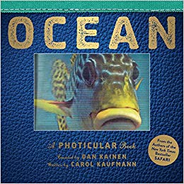 Ocean: A Photicular Book