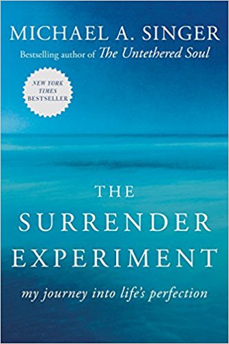 My Journey into Life's Perfection - The Surrender Experiment