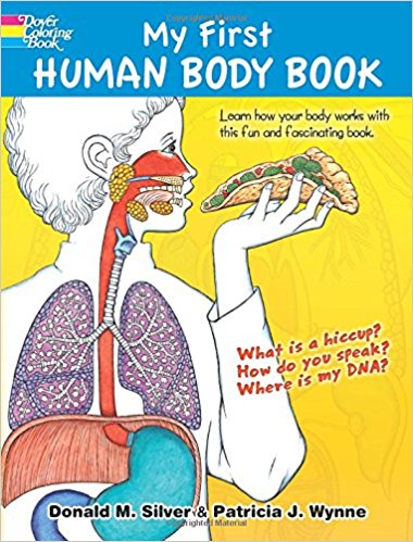 My First Human Body Book