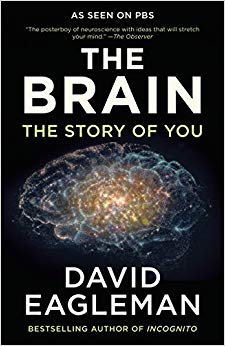 The Brain: The Story of You