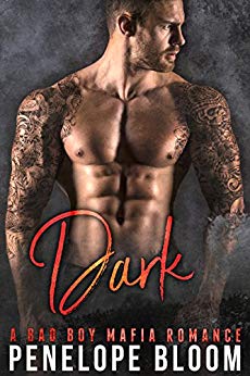 A Bad Boy Secret Baby Romance (Citrione Crime Family Book 3)