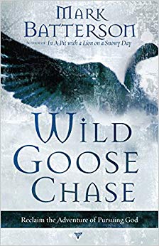 Reclaim the Adventure of Pursuing God - Wild Goose Chase