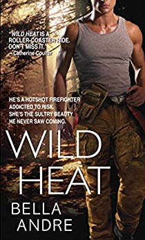 Wild Heat (Hot Shots: Men of Fire Book 1)