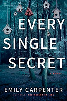 Every Single Secret: A Novel