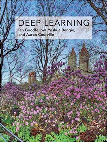 Deep Learning (Adaptive Computation and Machine Learning)