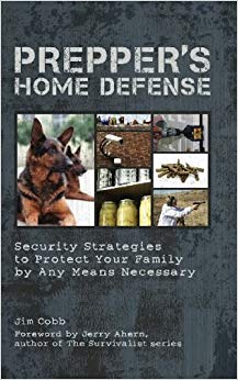 Security Strategies to Protect Your Family by Any Means Necessary